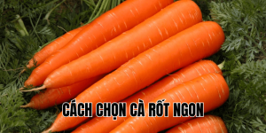 Cách Chọn Cà Rốt Ngon