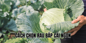 Cách Chọn Rau Bắp Cải Ngon