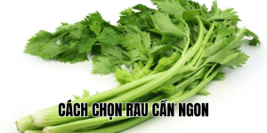 Cách Chọn Rau Cần Ngon