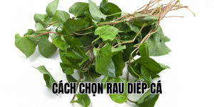Cách Chọn Rau Diếp Cá