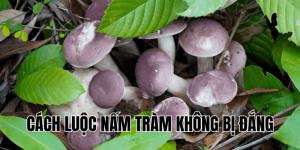 Cách Luộc Nấm Tràm Không Bị Đắng
